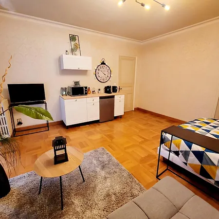 Superbe Appartement Calme Et Spacieux Graulhet Exterior foto