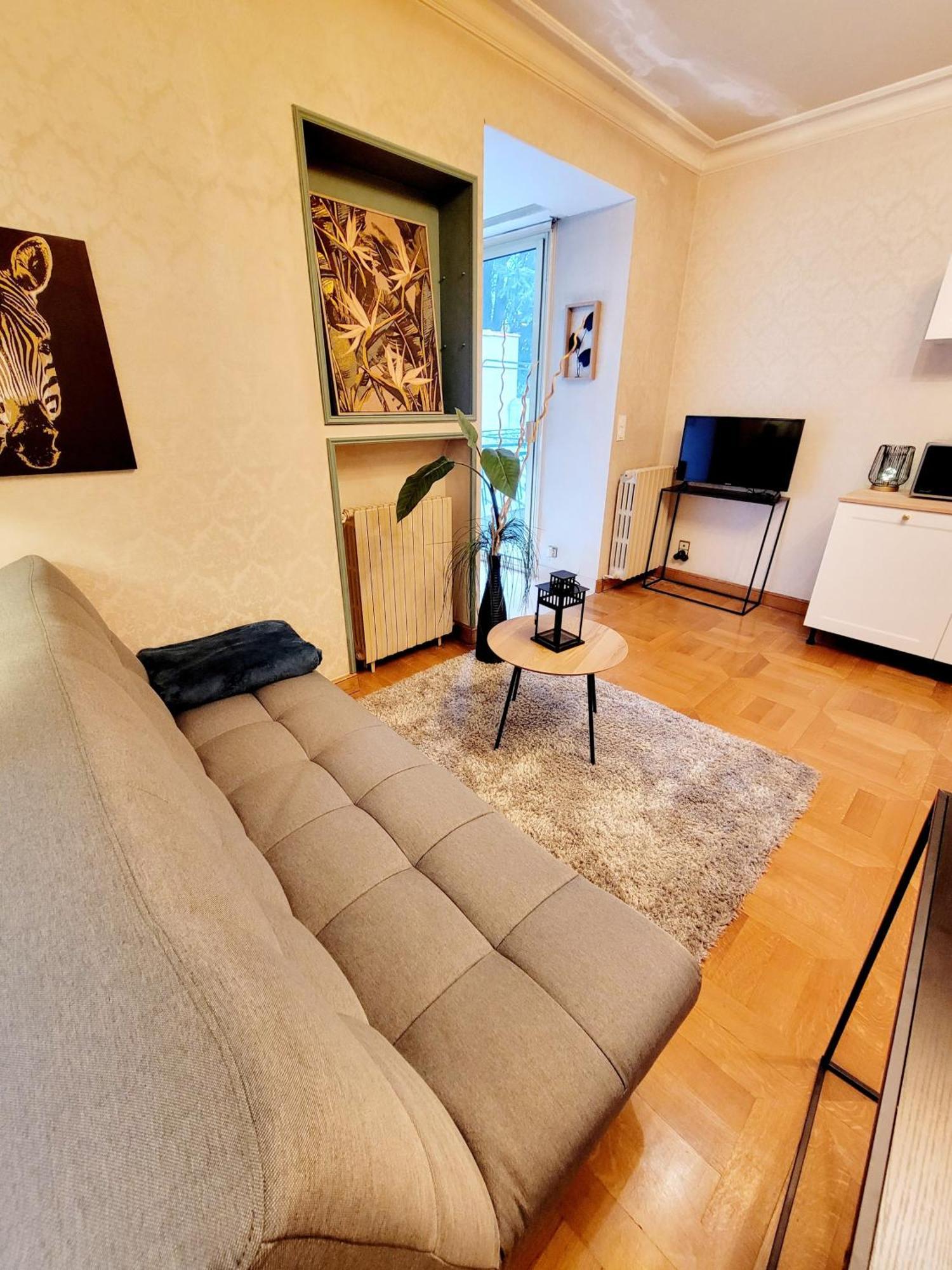 Appartement Superbe Calme Et Spacieux Graulhet